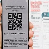 Об информационно-технологической опасности цифровых пропусков Об информационно-технологической опасности цифровых пропусков