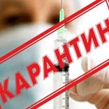 Коронабесие: Кто ответит за разрушительное действие необоснованных карантинных мер? Коронабесие: Кто ответит за разрушительное действие необоснованных карантинных мер?