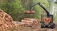 Как лес, страну рубят Как лес, страну рубят