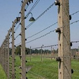 Киевский режим становится всё более людоедским… Киевский режим становится всё более людоедским…