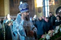 Нужно избегать тех, кто отделился от Церкви, кто поднял руку на Церковь Нужно избегать тех, кто отделился от Церкви, кто поднял руку на Церковь