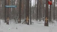 В Уральском лесу появился "павший бог", полиция ведет расследование В Уральском лесу появился "павший бог", полиция ведет расследование