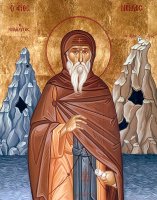 Пагуба безчувствия к истине. Память преподобного Нила Мироточивого, Афонского Пагуба безчувствия к истине. Память преподобного Нила Мироточивого, Афонского