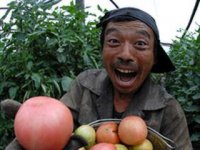 НА КУБАНИ ПРИНИМАЮТСЯ МЕРЫ ПРОТИВ НЕЛЕГАЛЬНЫХ МИГРАНТОВ ИЗ КИТАЯ НА КУБАНИ ПРИНИМАЮТСЯ МЕРЫ ПРОТИВ НЕЛЕГАЛЬНЫХ МИГРАНТОВ ИЗ КИТАЯ