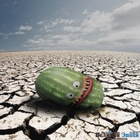 ГМО – один из сюрпризов 2014 года ГМО – один из сюрпризов 2014 года