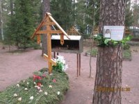 Память блаженной Наталии Вырицкой (Евстигнеевой). Безкровное мученичество Память блаженной Наталии Вырицкой (Евстигнеевой). Безкровное мученичество