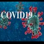 COVID-19:           