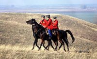 ДОНСКИЕ КАЗАКИ СОБРАЛИСЬ НАВЕСТИ ПОРЯДОК. ДОНСКИЕ КАЗАКИ СОБРАЛИСЬ НАВЕСТИ ПОРЯДОК.