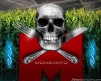 ГМО – это колоссальная угроза, вымирают не только люди, но и всё живое. Беседа с доктором биологических наук, членом Женской экологической Ассамблеи при ООН Ириной Ермаковой ГМО – это колоссальная угроза, вымирают не только люди, но и всё живое. Беседа с доктором биологических наук, членом Женской экологической Ассамблеи при ООН Ириной Ермаковой