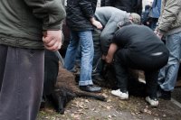 МУСУЛЬМАНСКИЙ ПРАЗДНИК КУРБАН-БАЙРАМ – ЭТО ДЕМОНСТРАЦИЯ СИЛЫ. МУСУЛЬМАНСКИЙ ПРАЗДНИК КУРБАН-БАЙРАМ – ЭТО ДЕМОНСТРАЦИЯ СИЛЫ.