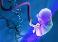 Церковно-общественный совет: «Заявление о социальном недоверии к технологиям редактирования генома человека» Церковно-общественный совет: «Заявление о социальном недоверии к технологиям редактирования генома человека»
