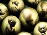 Метод генного редактирования может принести человечеству невероятный по силе инструмент и настолько же опасный Метод генного редактирования может принести человечеству невероятный по силе инструмент и настолько же опасный
