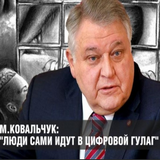 Технологическе порабощение: Директор Курчатовского института о том, что люди сами идут в Гулаг Технологическе порабощение: Директор Курчатовского института о том, что люди сами идут в Гулаг