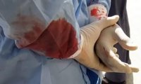 Современные, цивилизованные формы людоедства Современные, цивилизованные формы людоедства