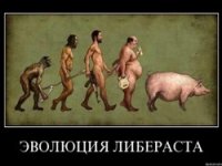 Кончита Вурст – зачем нам ЭТО показали? Кончита Вурст – зачем нам ЭТО показали?