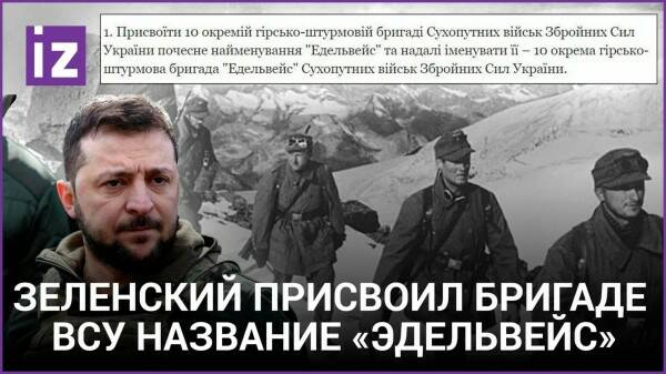 эдельвейс.jpg эдельвейс.jpg