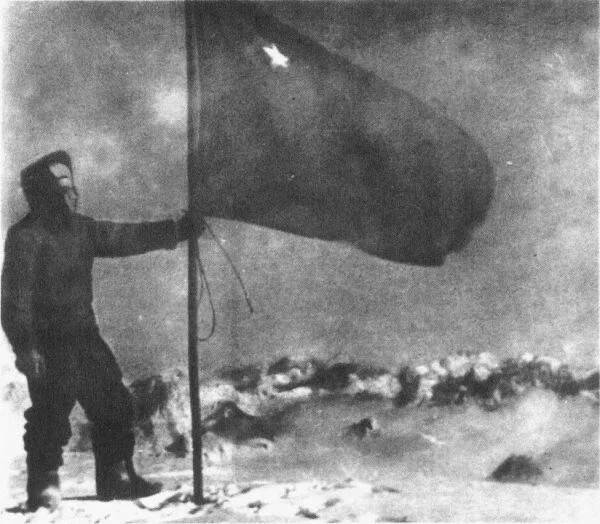эдельвейс8.jpg эдельвейс8.jpg