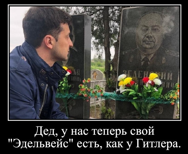 эдельвейс1.jpg эдельвейс1.jpg