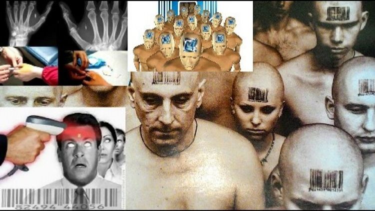 чип0.jpg чип0.jpg